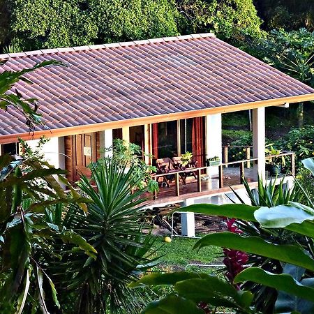 Ceiba Tree Lodge Mata de Caña Εξωτερικό φωτογραφία