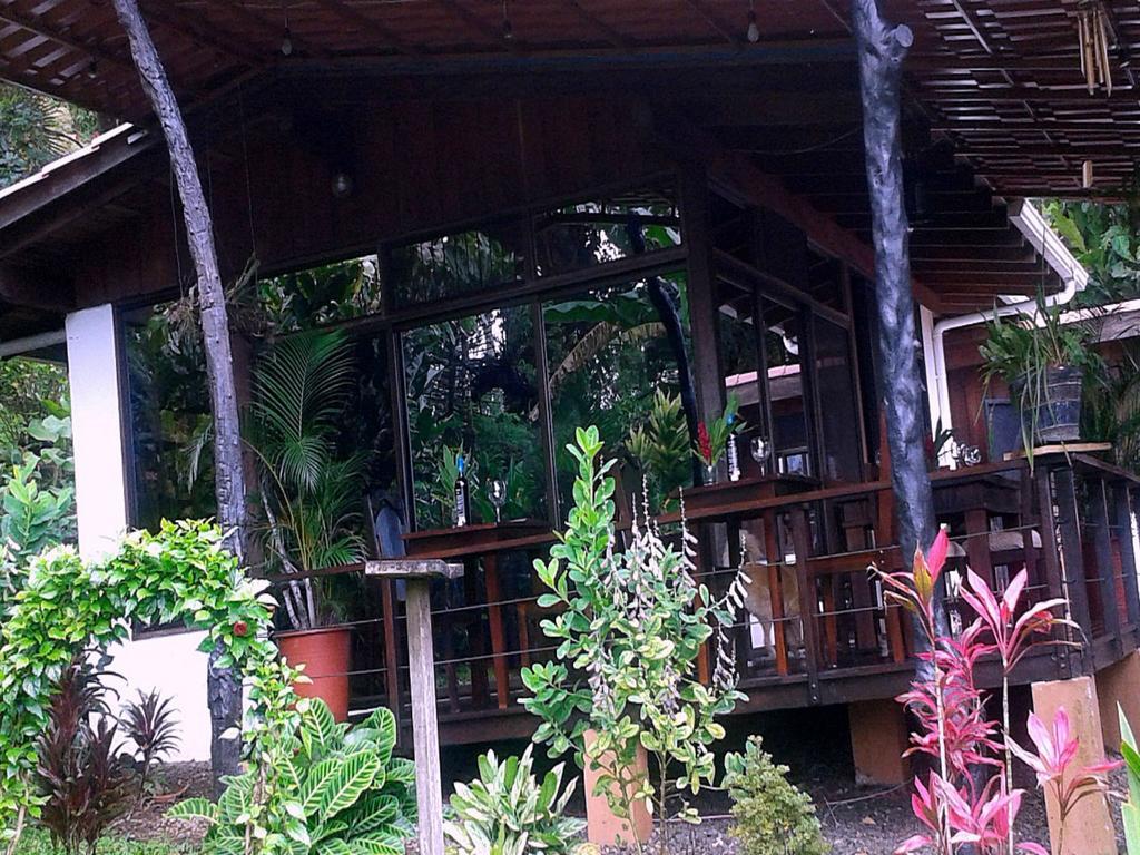 Ceiba Tree Lodge Mata de Caña Εξωτερικό φωτογραφία