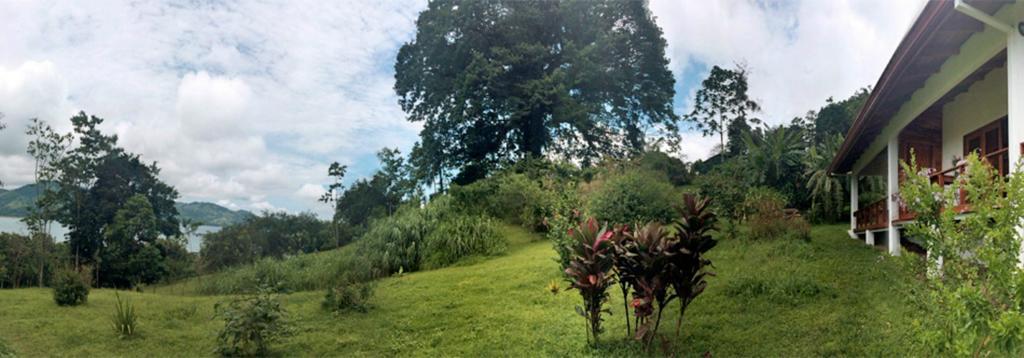 Ceiba Tree Lodge Mata de Caña Εξωτερικό φωτογραφία