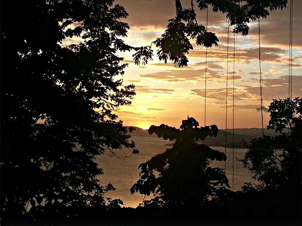 Ceiba Tree Lodge Mata de Caña Εξωτερικό φωτογραφία