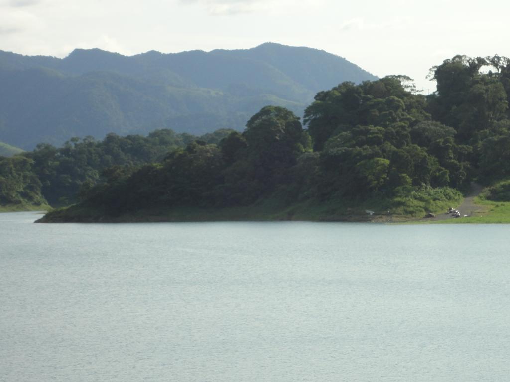 Ceiba Tree Lodge Mata de Caña Εξωτερικό φωτογραφία