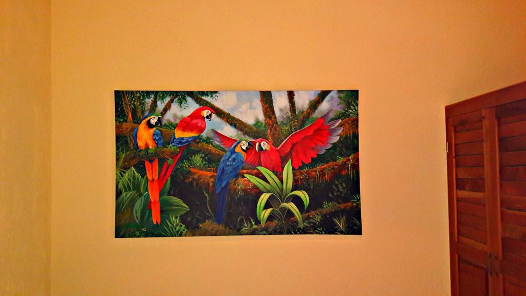 Ceiba Tree Lodge Mata de Caña Εξωτερικό φωτογραφία
