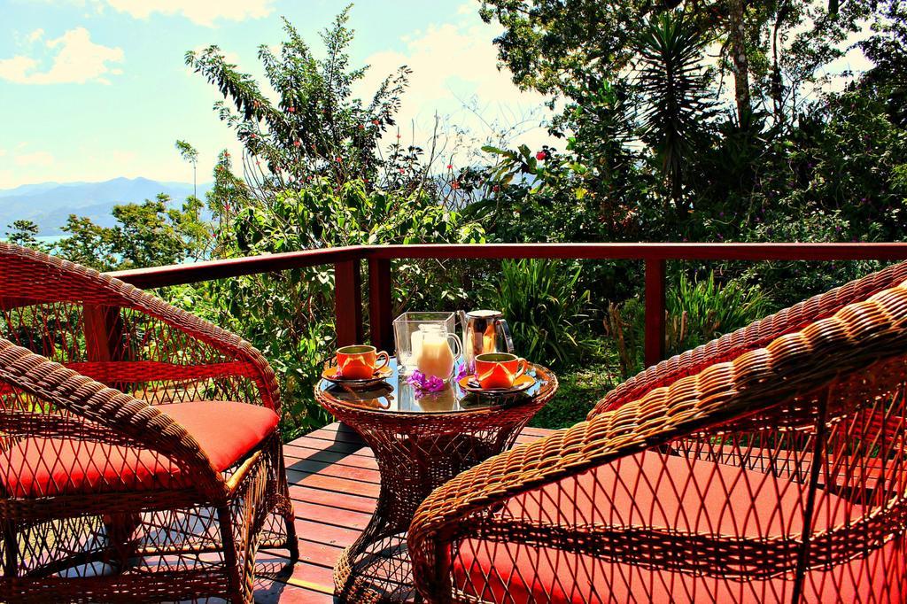 Ceiba Tree Lodge Mata de Caña Εξωτερικό φωτογραφία