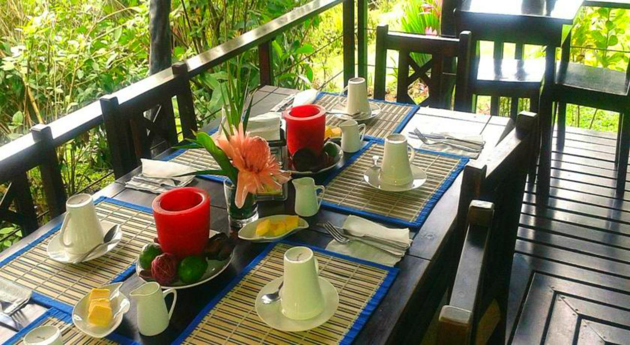 Ceiba Tree Lodge Mata de Caña Εξωτερικό φωτογραφία