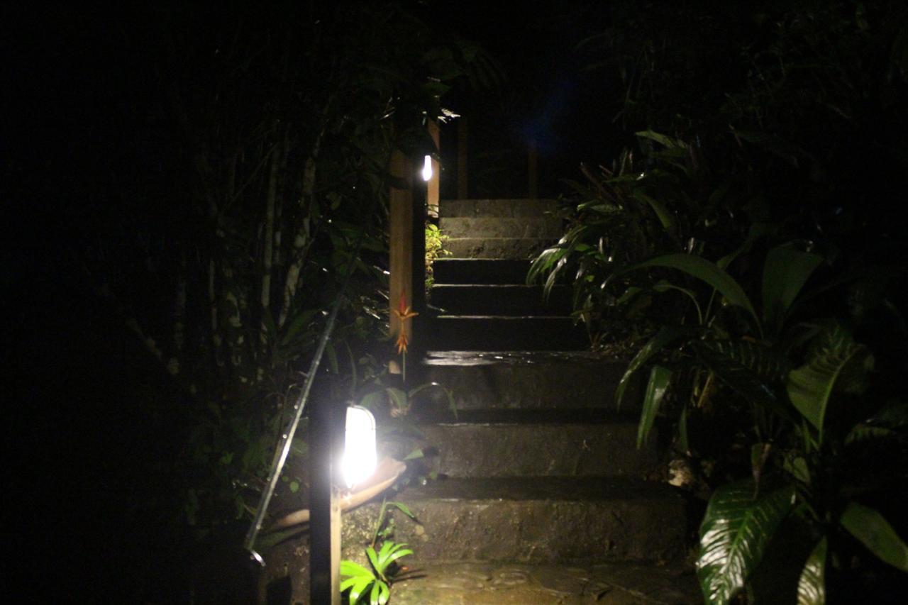 Ceiba Tree Lodge Mata de Caña Εξωτερικό φωτογραφία