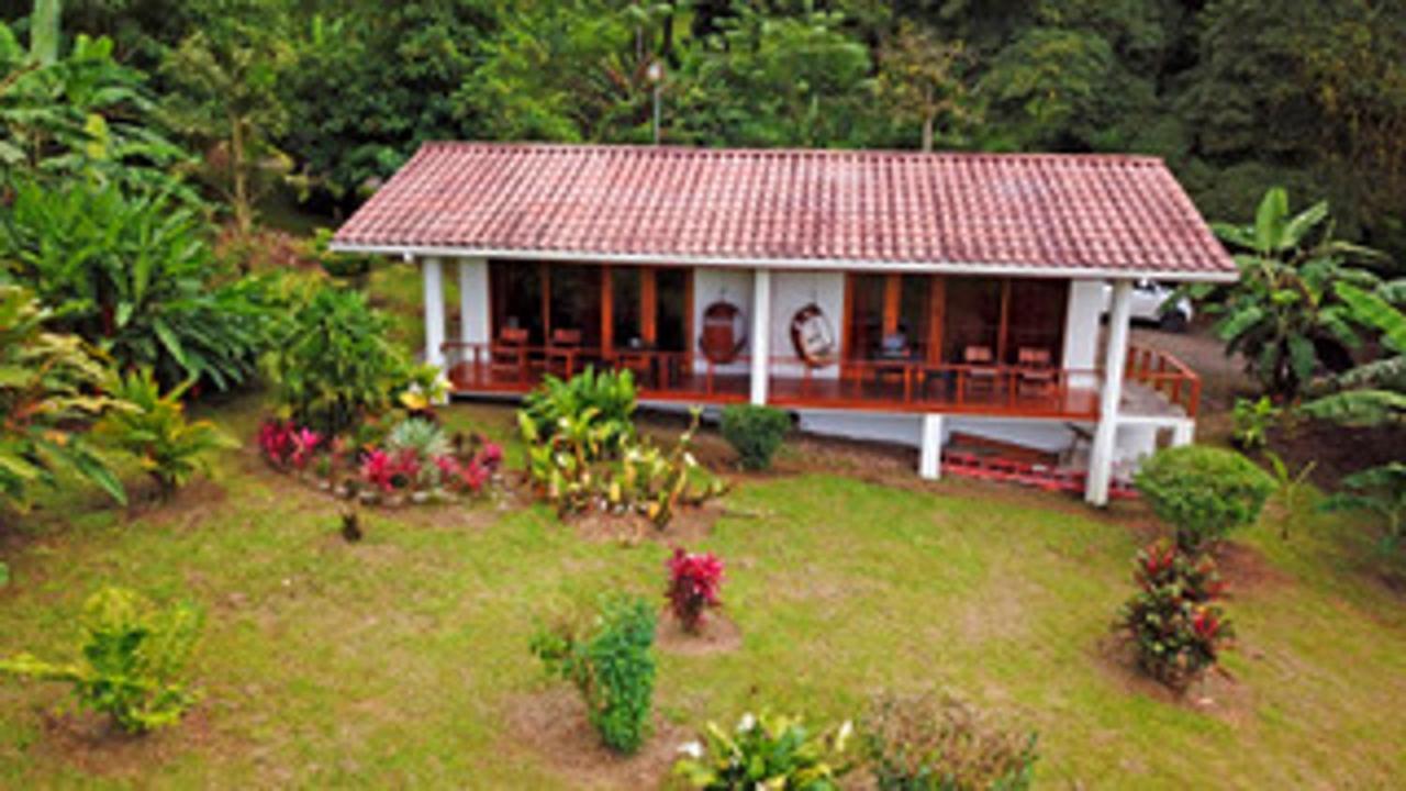 Ceiba Tree Lodge Mata de Caña Εξωτερικό φωτογραφία