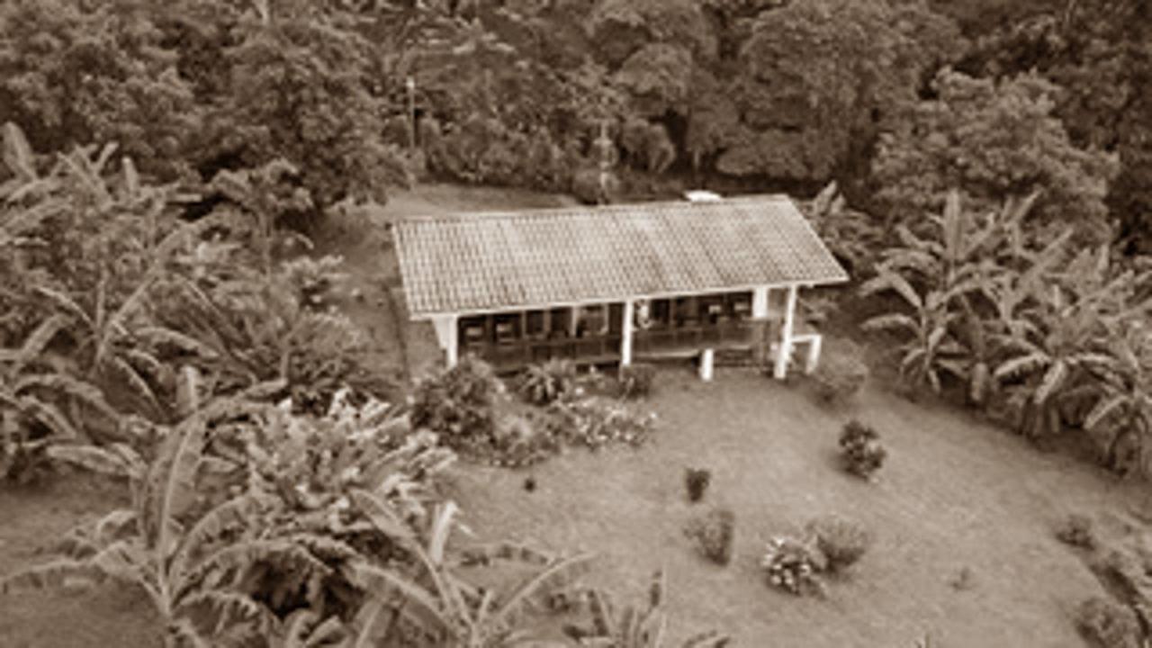 Ceiba Tree Lodge Mata de Caña Εξωτερικό φωτογραφία